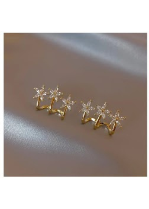 Amazing Korean Jewelry For Women (DESIGN 1228)