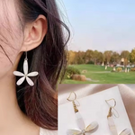 Amazing Korean Jewelry For Women (DESIGN 1233)