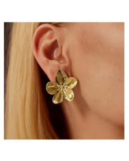 Amazing Korean Jewelry For Women (DESIGN 1401)
