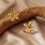 Anti-Tarnish Jewelry – Shine That Lasts (DESIGN 5228)