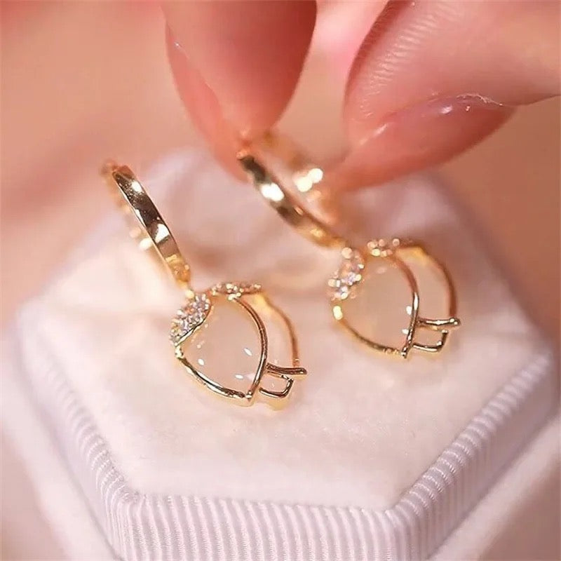 Amazing Korean Jewelry For Women (DESIGN 6019)