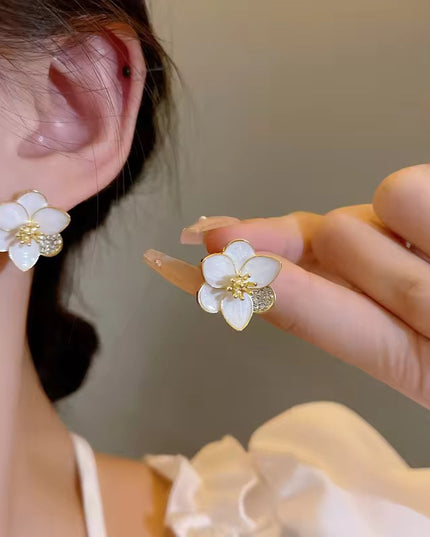 Amazing Korean Jewelry For Women (DESIGN 6244)