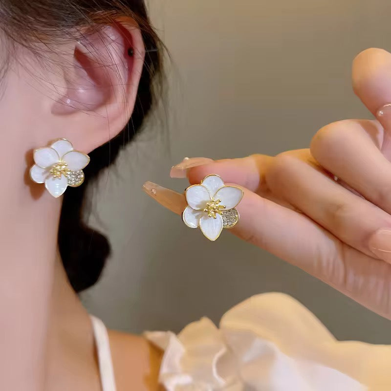 Amazing Korean Jewelry For Women (DESIGN 6244)