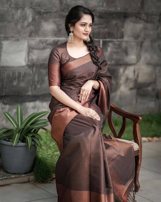 Gandhi Soft Banarasi Silk