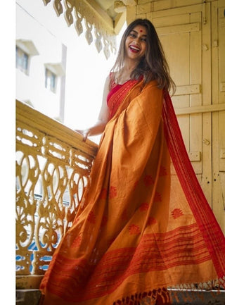 Gandhi Soft Banarasi Silk